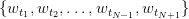 \{w_{t_1}, w_{t_2}, \dots, w_{t_{N-1}}, w_{t_{N+1}} \} \{w_{t_1}, w_{t_2}, \dots, w_{t_{N-1}}, w_{t_{N+1}} \}