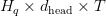 H_q \times d_{\text{head}} \times  T