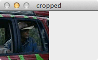 Figure 5: Cropping is simple with Python and OpenCV -- we're just slicing NumPy arrays!