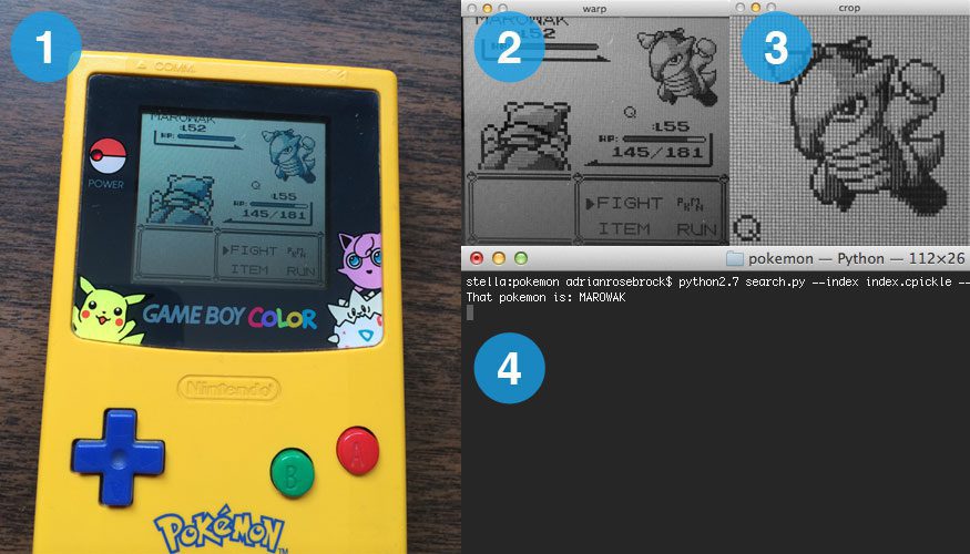 The four steps of building a Pokedex in Python
