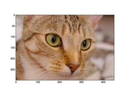 How to Display a Matplotlib RGB Image - PyImageSearch