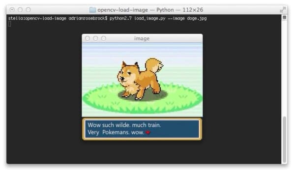 Figure 1: Loading an image using OpenCV and displaying it to our screen.