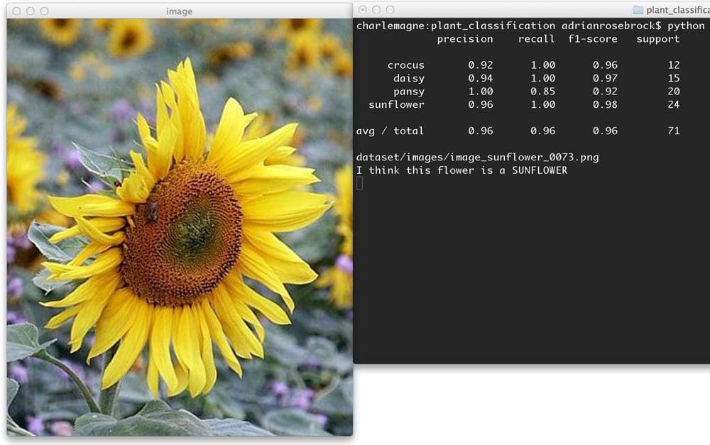 Figure 4: Learn how to apply machine learning techniques to classify the species of flowers.