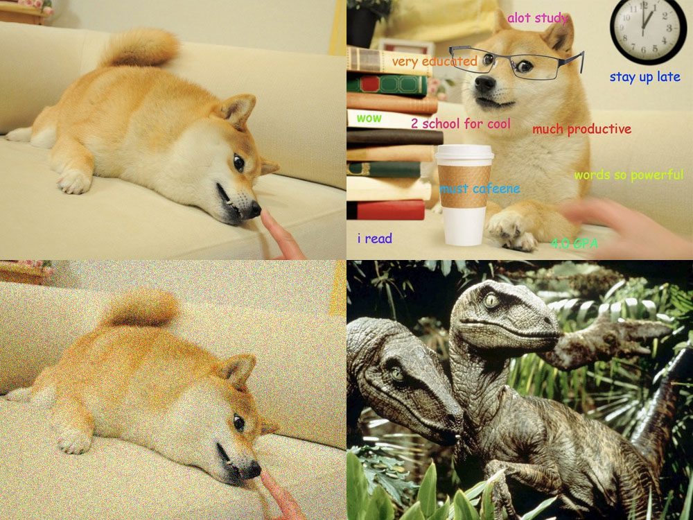 Figure 1: Our test dataset of four images -- two images of Doge, one with Gaussian noise added, and velociraptors, for good measure.