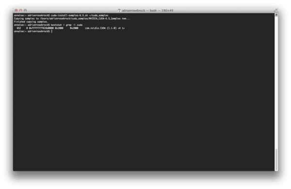 Ensuring the CUDA Driver is found