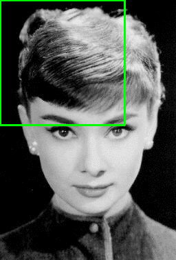 Figure 3: An example of applying a sliding window to an image for face detection.