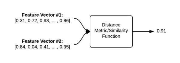 Figure 5: To compare two images, we input the respective feature vectors into a distance metric/similarity function. The output is a value used to represent and quantify how "similar" the two images are to each other..