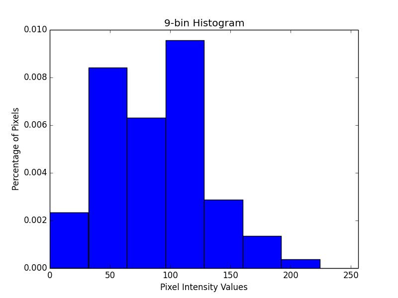 Figure 12: An example of a 9-bin histogram. Notice how there are very few bins for a given pixel to be placed in.