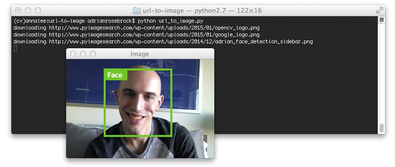 Figure 3: Converting an image URL to OpenCV format with Python.