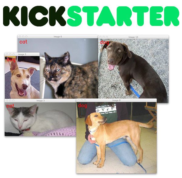 gurus_kickstarter_cat_dog_demo
