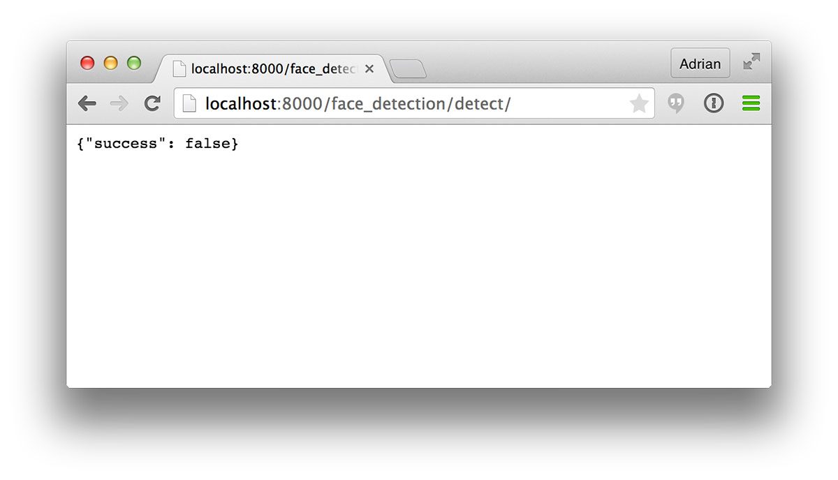 Figure 1: Navigating our browser to the face detection API endpoint.