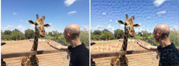 giraffe