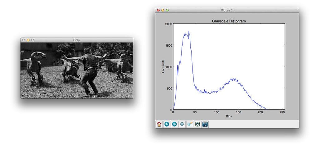 Figure 1: Our end goal is to utilize matplotlib to display a grayscale pixel intensity for the image on the left.
