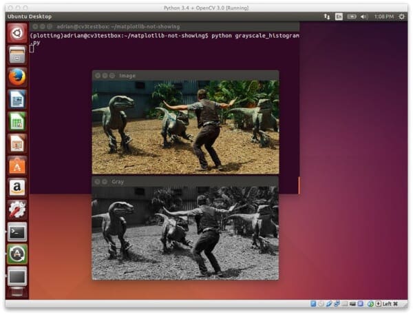 Figure 3: I have executed the *exact same* code on my Ubuntu system in the plotting virtual environment. All I see are my images -- where did my histogram go? Why is there no error message?