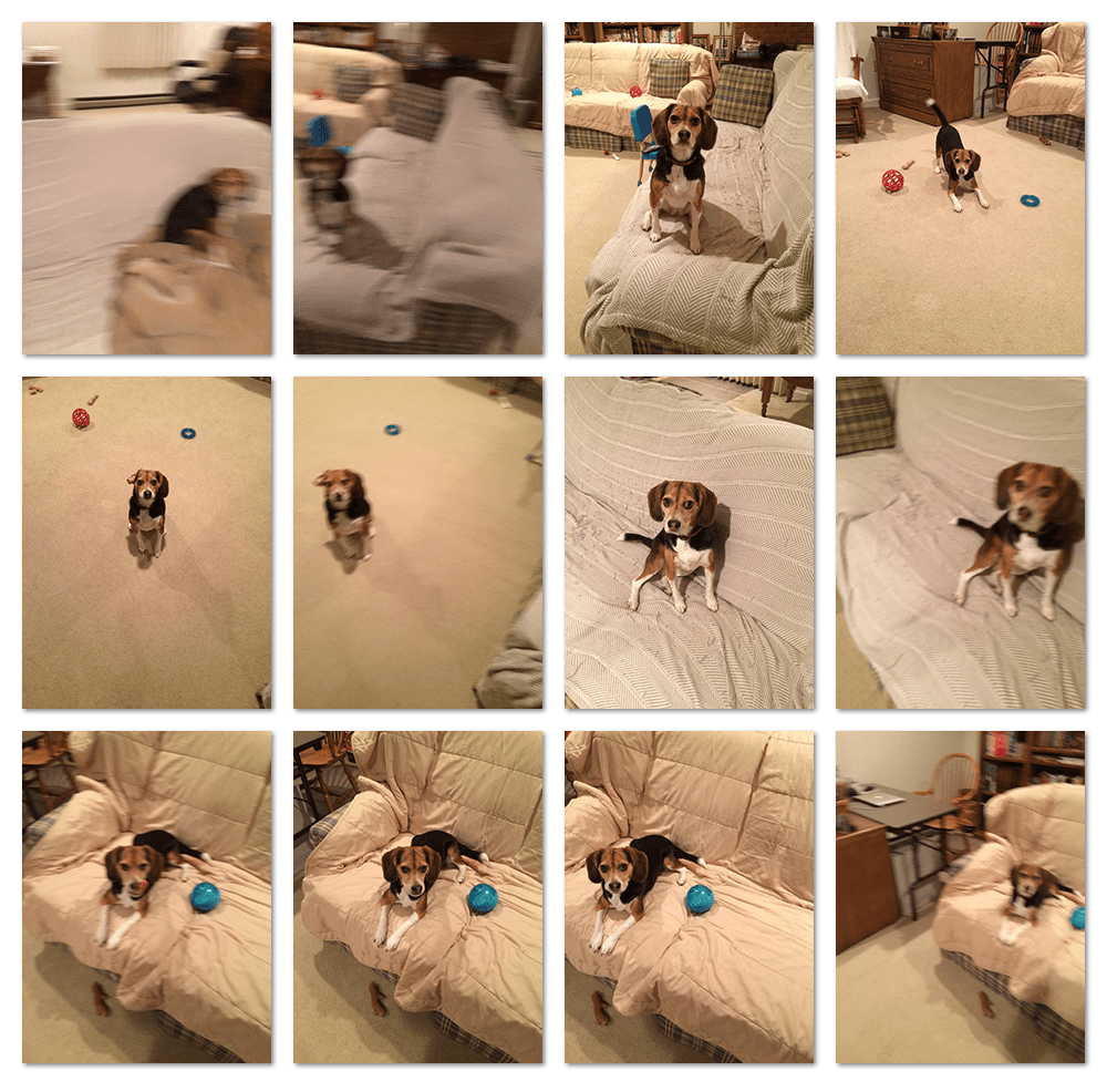 Figure 3: Our dataset of images. Some are blurry, some are not. Our goal is to perform blur detection with OpenCV and mark the images as such.