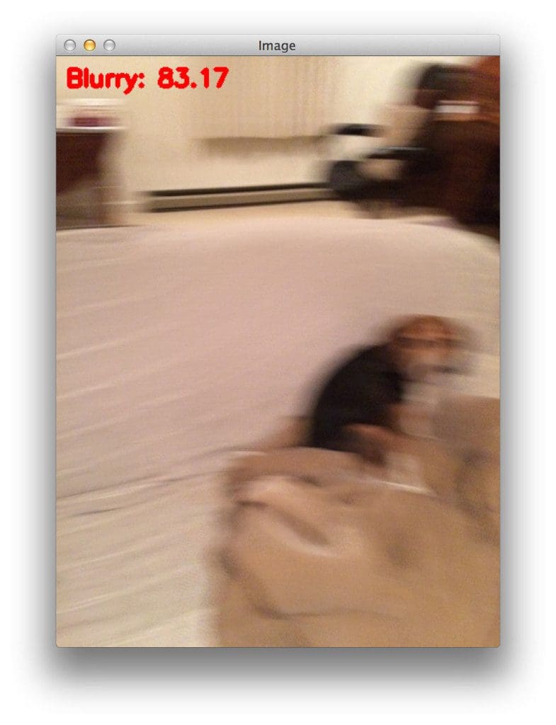 Blur detection with OpenCV - PyImageSearch