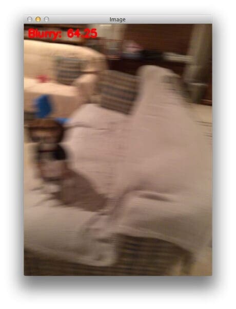 Figure 5: Performing blur detection with OpenCV. This image is marked as "blurry".