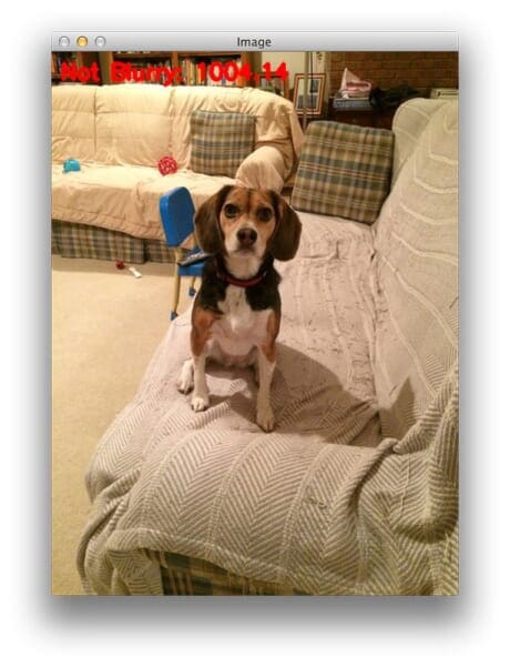 Figure 6: Marking an image as "non-blurry".