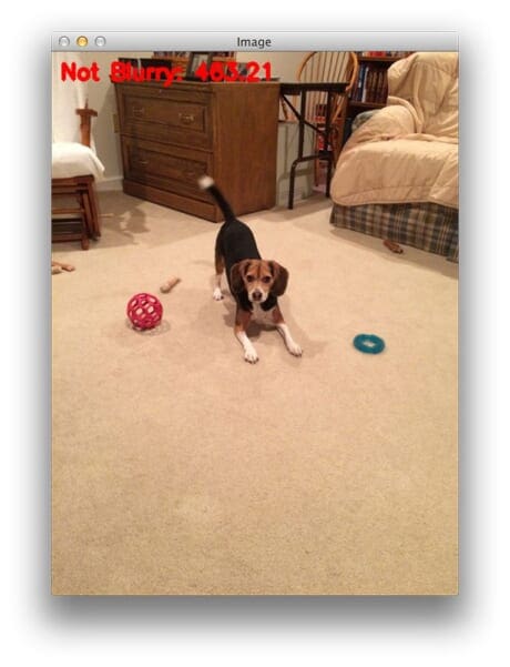 Figure 7: Applying blur detection with OpenCV and Python.