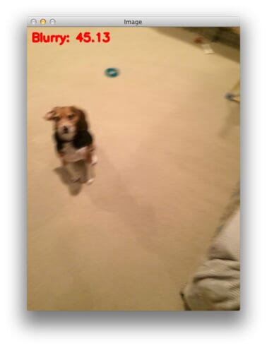 Blur detection with OpenCV - PyImageSearch