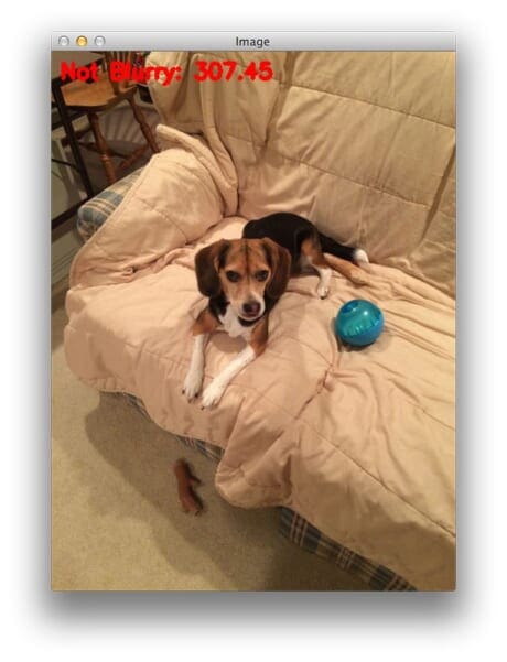 Figure 13: Compared to Figure 12 above, the amount of blur in this image is substantially reduced.