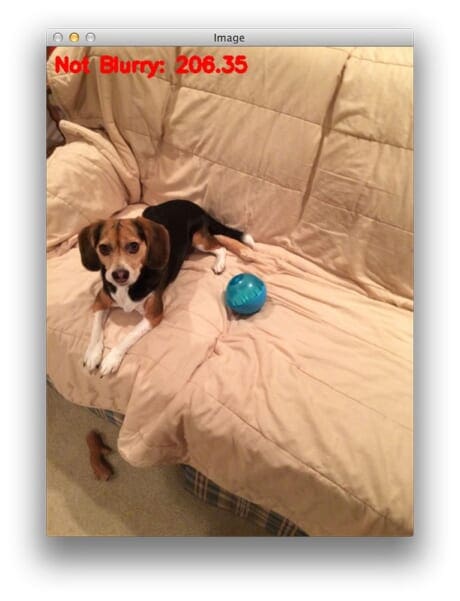 Figure 14: Again, this image is correctly marked as not being "blurred".