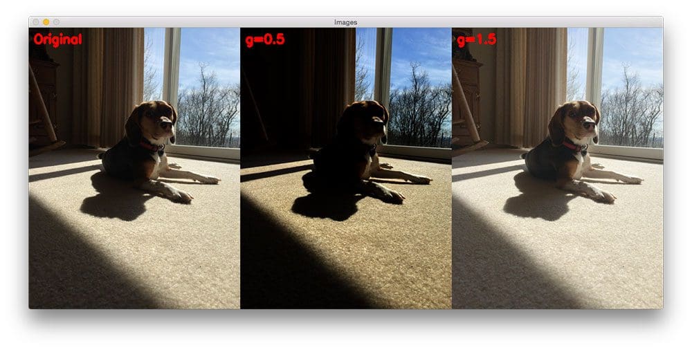 Figure 1: Our original image (left); Gamma correction with G 1 (right), this time the output image is much lighter than the original.