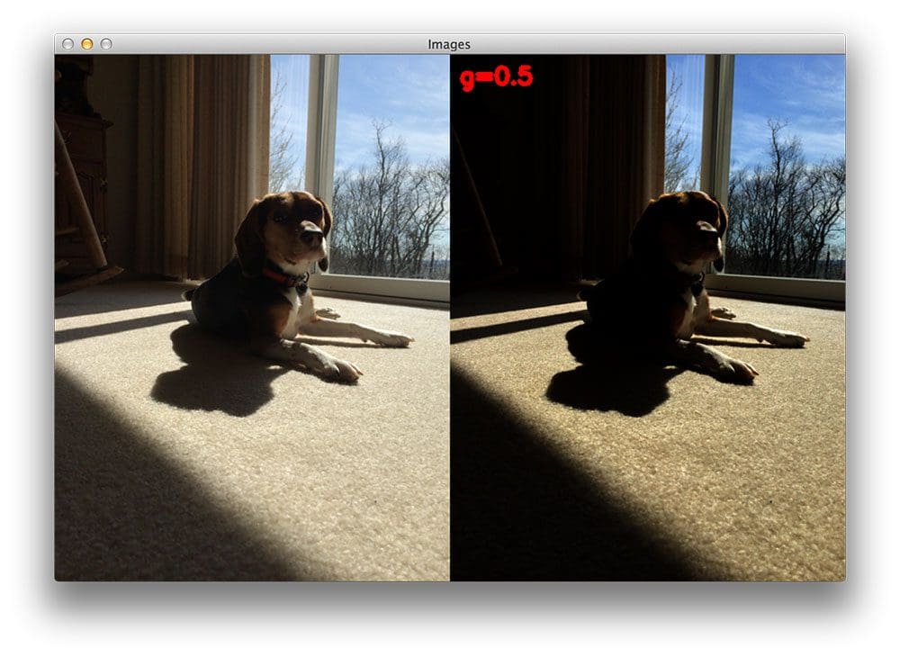 Figure 2: When applying gamma correction with G < 1, the output image is will darker than the original input image.