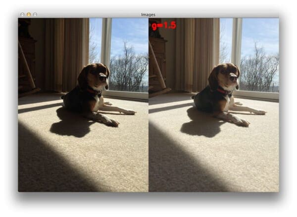 Figure 3: As the gamma value reaches 1.0 and starts to exceed it, the image lightens up and we can see more detail.