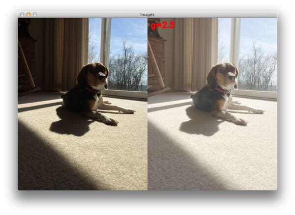 Figure 5: However, if we carry gamma correction too far, the image will start to appear washed out.