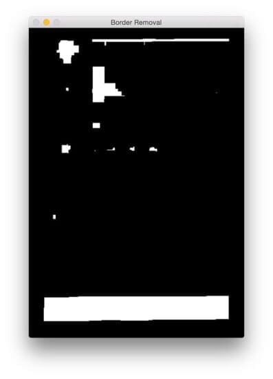 Figure 6: Setting 5% of the left and right border pixels to zero, ensuring that the MRZ region is not attached to the scanned margin of the passport.