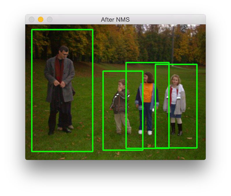 Figure 8: Detecting four members of a family.