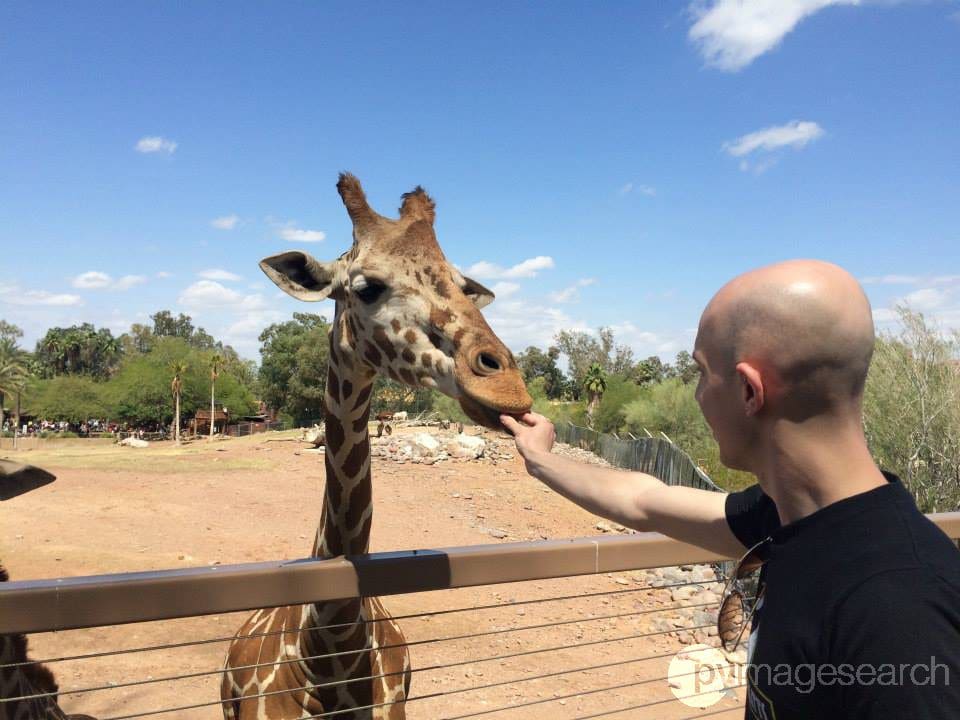 Figure 5: Feed a giraffe...and watermarking the image with computer vision.