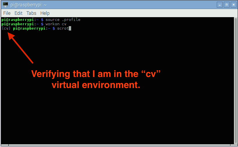 Figure 2: I can tell I am in the "cv" virtual environment because I can see the text "(cv)" before my prompt.