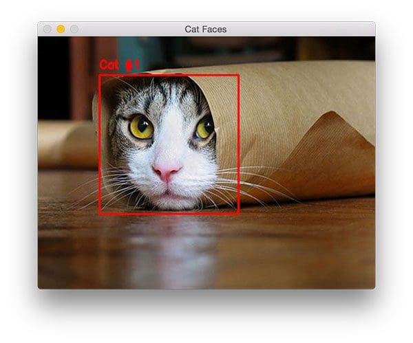 Figure 1: Detecting a cat face in an image, even with parts of the cat occluded.