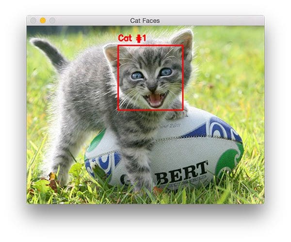 Figure 2: A second example of detecting a cat in an image with OpenCV, this time the cat face is slightly different.