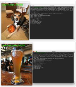 ImageNet classification with Python and Keras - PyImageSearch