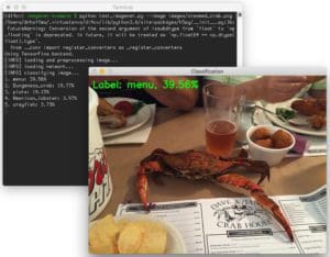 ImageNet classification with Python and Keras - PyImageSearch