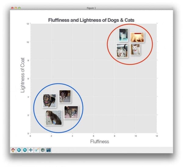 Figure 2: Plotting the fluffiness of animals along the x-axis and the lightness of their coat on the y-axis.