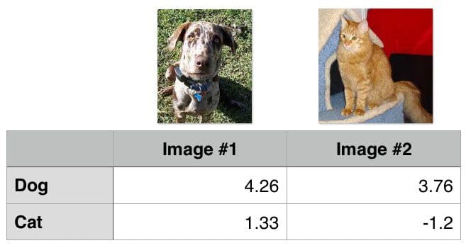 Figure 1: Let's apply hinge loss to the images in this figure.