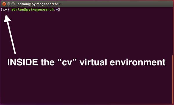 Figure 1: Make sure you see the "(cv)" text on your prompt, indicating that you are in the cv virtual environment.