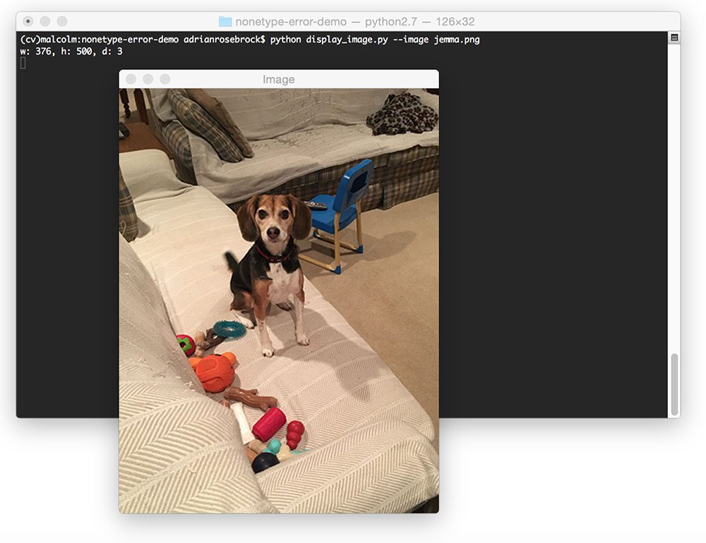 Figure 1: Loading and displaying an image to my screen with OpenCV and Python.