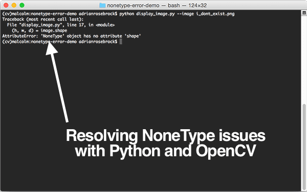 nonetype_output