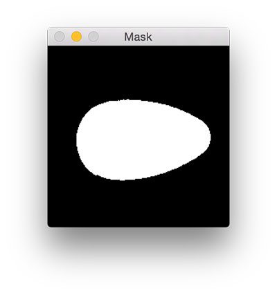 Figure 8: The mask representing the entire pill region in the image.