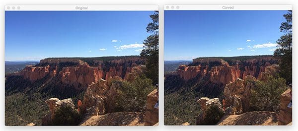 Figure 8: (Left) The original input image. (Right) Removing vertical seams from the image, thereby decreasing the image width.