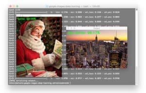 Start Here with Computer Vision, Deep Learning, and OpenCV - PyImageSearch