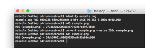 Image hashing with OpenCV and Python - PyImageSearch