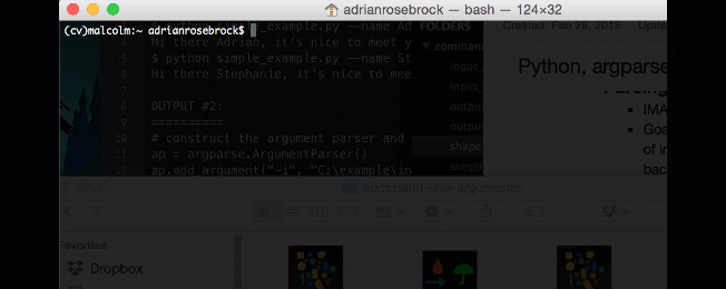 Terminal using Python argparse to run script with command line arguments.