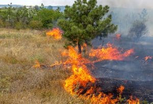 Fire and smoke detection with Keras and Deep Learning - PyImageSearch