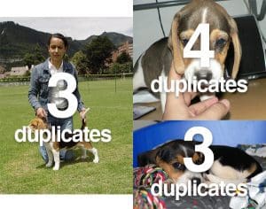 Detect and remove duplicate images from a dataset for deep learning ...